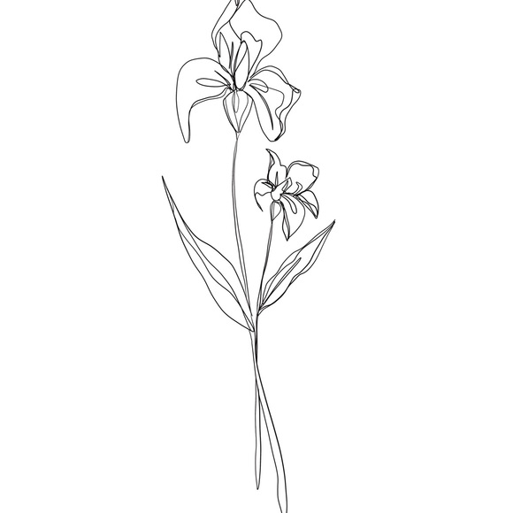 Flowers - Picture 3 of 4